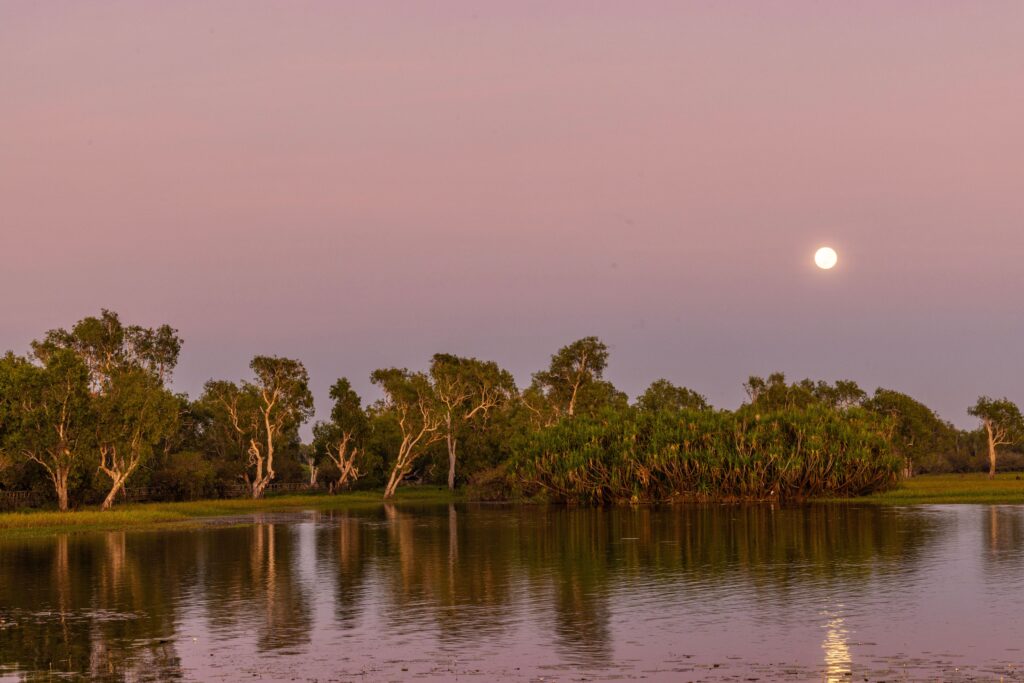 Yellow Water Billabong