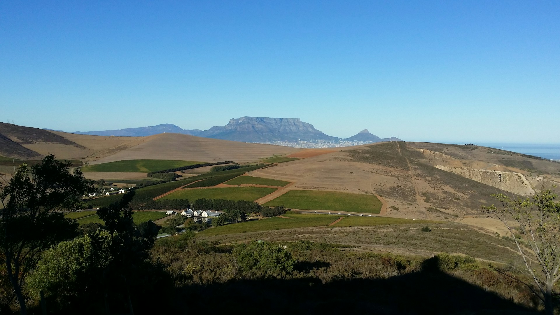 Vineyards near Cape Town with Table Mountain in the background, showing the Cape Town wine region landscape